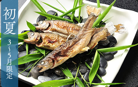 岩魚料理（刺身or焼物）